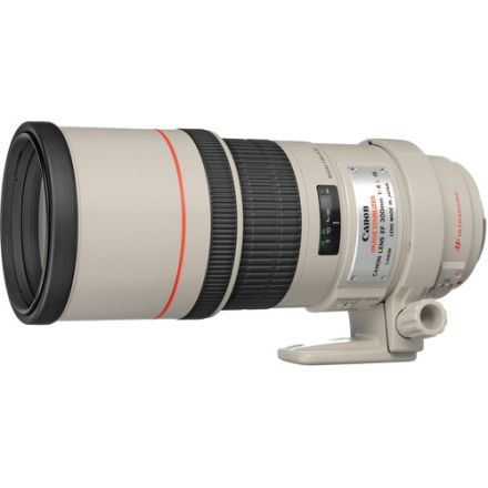 Canon EF 300mm 4.0L IS
