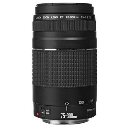 Canon EF 75-300mm F/4-5.6 III Lens (USED)
