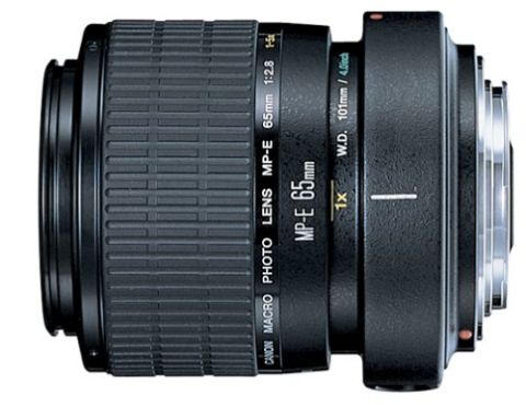 Canon MP-E 65mm 2.8 1-5x Macro